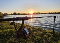 Se închide sezonul de pescuit sportiv la „Trei Lacuri” din Câmpia Turzii! De când nu mai este permis pescuitul
